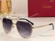 Fashion AAA Replica Santos Cartier Sunglasses ct0389 Silver Frame (5)_th.jpg